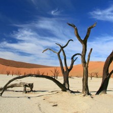 NAMIBIA NAMIBIA