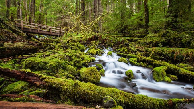 OLYMPIC NATIONAL PARK